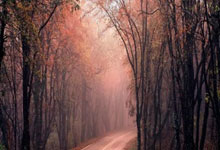 开云下载-跨界风暴夜！C罗头槌绝杀金州勇士，VAR裁判引爆世纪口水战