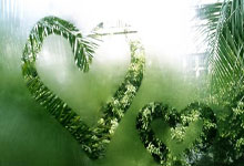 开云体育-龙舌兰风暴席卷亚洲：墨西哥黑马问鼎全明星赛，闪耀舞台铸就48小时奇迹！