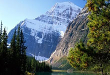 开云APP-王朝暗涌：美国男篮奥运卫冕路上的荆棘与荣光