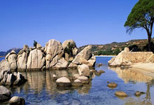 开云官网-中超豪强亮剑亚洲！中国足球迎来黄金时代？