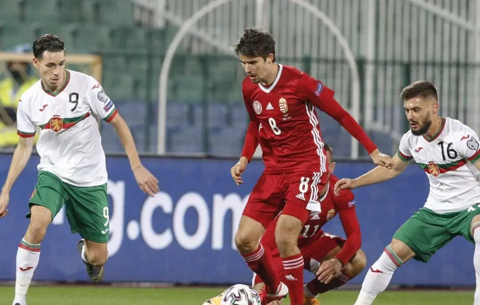 保加利亚队在欧预赛中体现团队合作！的简单介绍