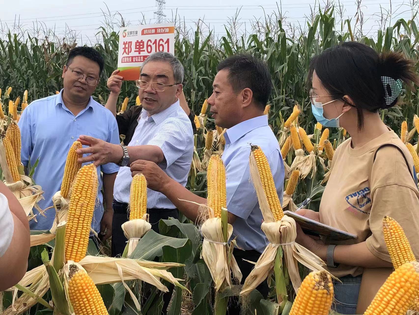 持续高温比赛!球员逆境勇斗 持续高温比赛!球员逆境勇斗