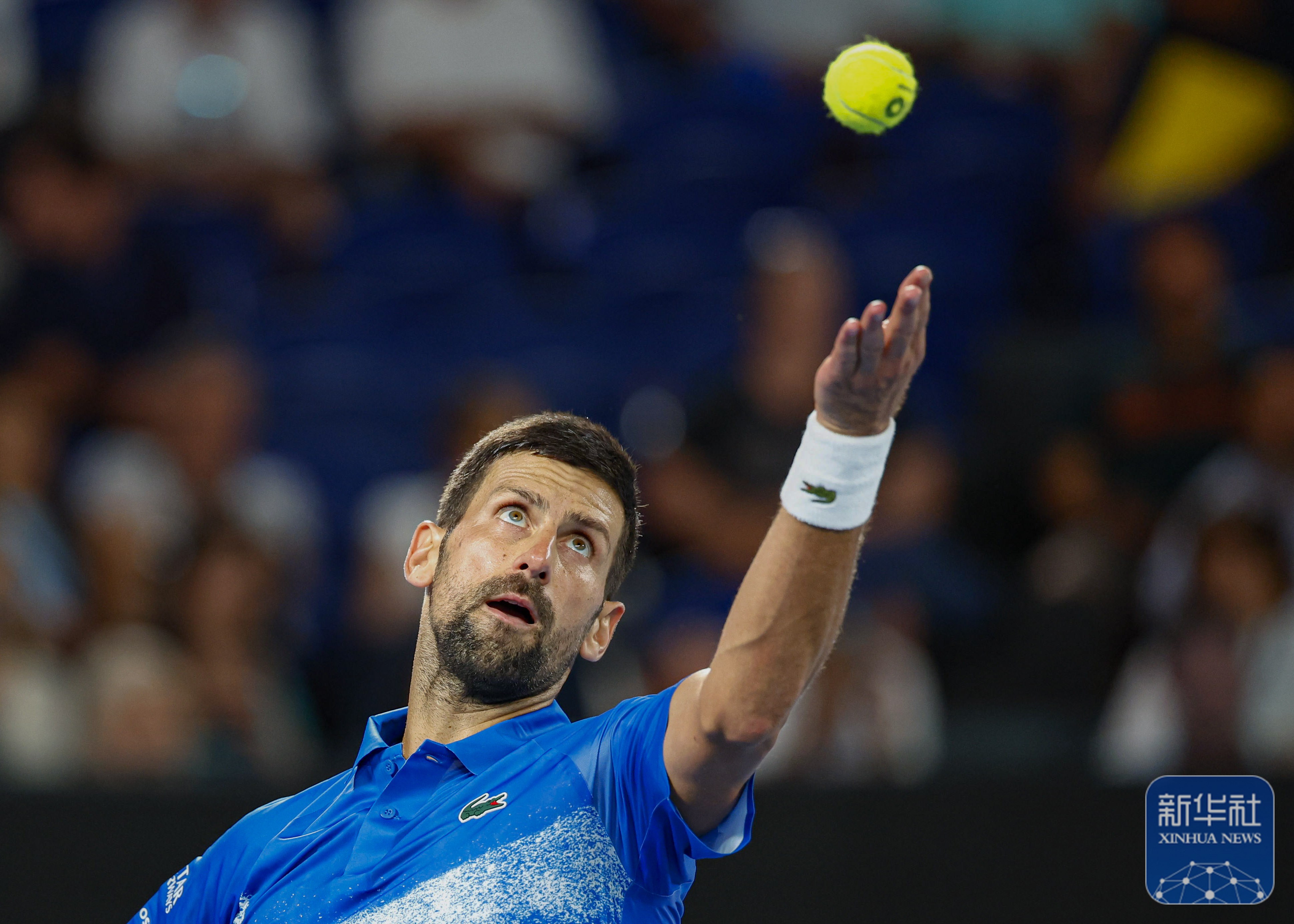 科瓦奇奇续约成功，塞图巴尔的表现逐渐提升的简单介绍