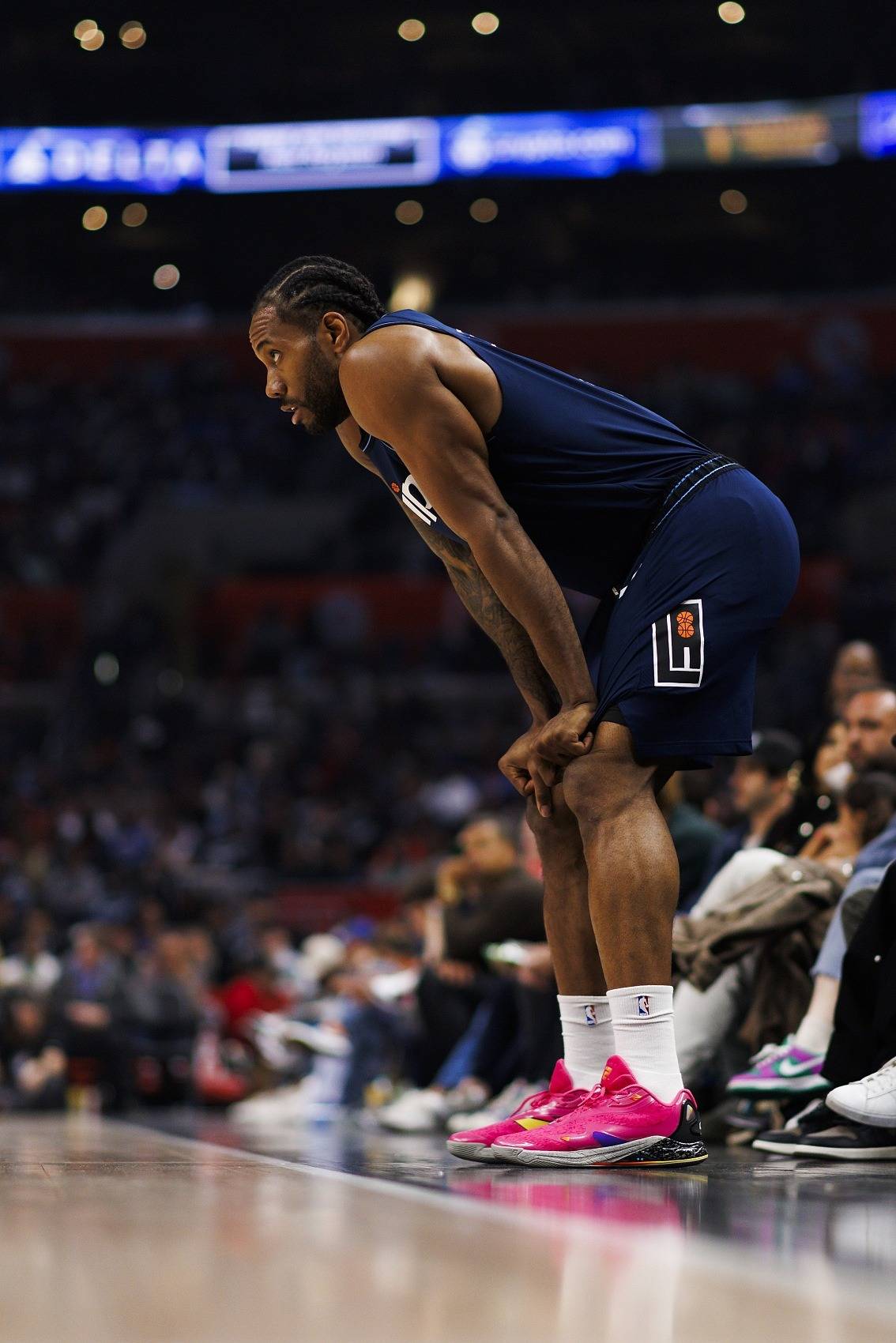 包含快船队新赛季表现出色，引发球迷狂热的词条