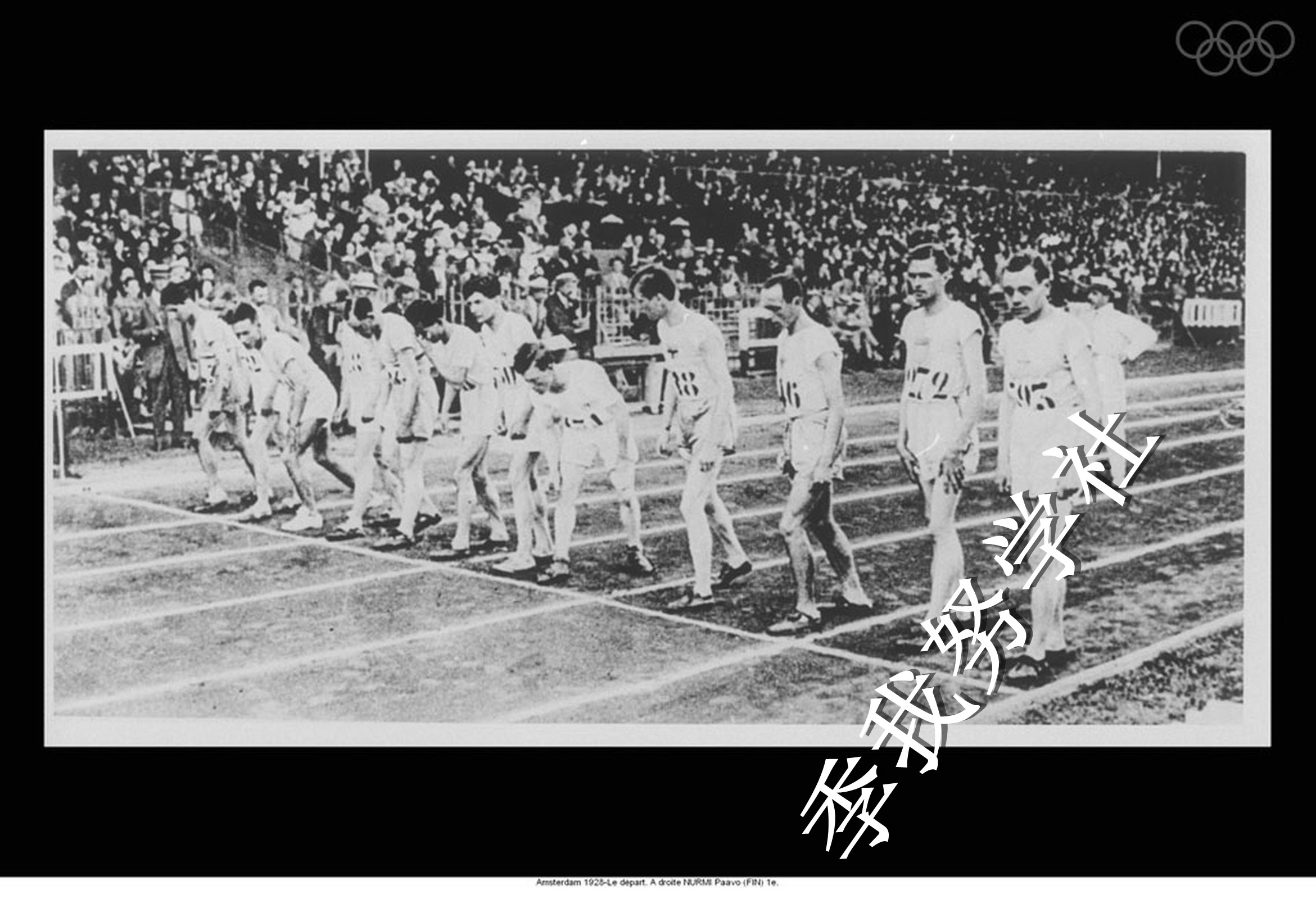 荷兰篮球联赛：阿姆斯特丹篮球队夺得亚军